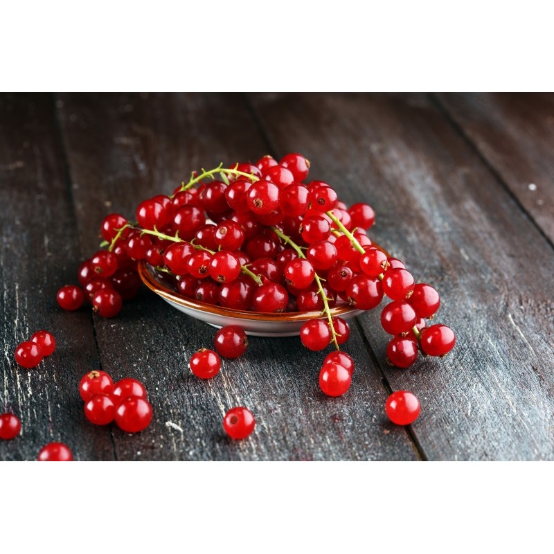 Joannisbeere rot