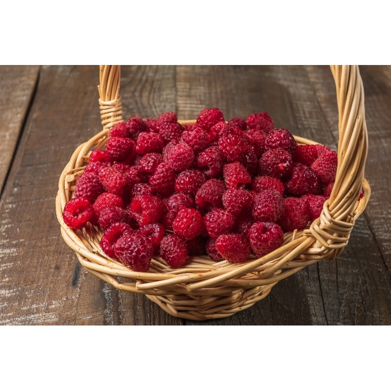 Himbeere