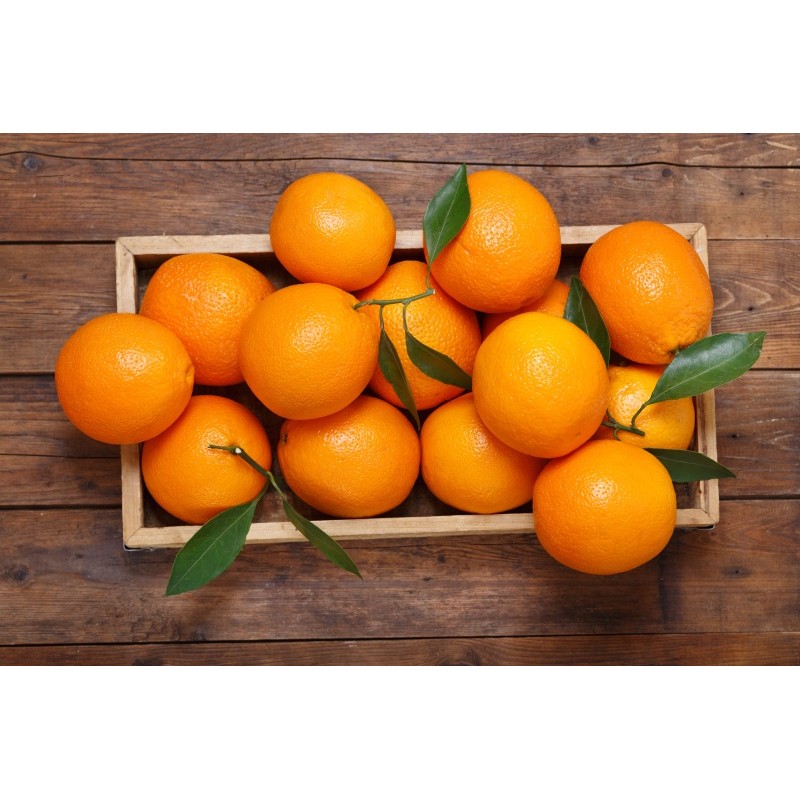 Ice Phantasia Orange Menthol