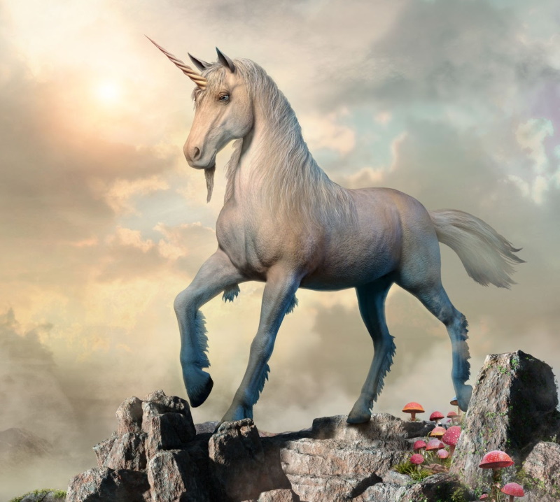 Unicorn